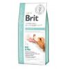 Brit VD Dog GF Struvite 12kg