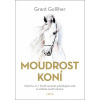 Moudrost koní