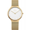 Bering 18434-334