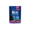 BRIT Premium cat Kapsička Adult Chicken & Turkey 100 g