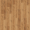 Expona Commercial 4099 Sherwood Oak - BIO vinylová podlaha - podlahovo.sk Lepená vinylová podlaha Expona Commercial 4099 Sherwood Oak