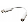 Akasa AK-CBCA27-10WH USB Type-C/jack audio adaptér