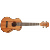 CASCHA HH 2048 Tenor Mahogany Ukulele Set