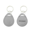 Přístupový čip, RFID token, přívěšek 125 kHz čip, EM4100, TK4100, bezkontaktní klíčenka, od 10 ks, šedá (Čip kompatibilní s alarmy Jablotron)