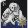 2LP Songs: Ohia: The Magnolia Electric Co DLX