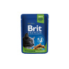 BRIT Premium cat Kapsička Sterilised Chicken Slice 100 g