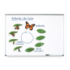 Learning Resources Learning Resources Magnetický životný cyklus - Motýľ