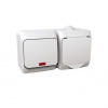 ZÁS. 2P+PE + PREP (6So) IP44 CEDAR BIELY