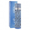 Paris Hilton Paris Hilton For Men 100 ml toaletní voda pro muže