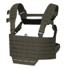 DIRECT ACTION vesta chest rig WARWICK SLICK RANGER GREEN