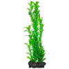 Dekorácia Tetra rastlina Hygrophila L 30cm