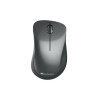 Canyon CNE-CMSW11B, Wireless optická myš Pixart 3065, USB, 1200 dpi, 3 tlač, čierna