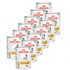 ROYAL CANIN VHN DOG URINARY konzerva 12 x 410 g