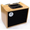 AER Compact 60 III Oak - kombo pre akustické nástroje