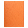 Doska s chlopňami, kartón, A4, EXACOMPTA, oranžová