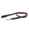 COBBYS PET Vodidlo z pravej hnedé, podšité zdobené so zlatými kosoštvorčekmi 20mm/120cm (COBBYS PET Vodidlo z pravej hnedé, podšité zdobené so zlatými kosoštvorčekmi 20mm/120cm)