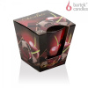 BARTEK Chocolate, sviečka v skle, 115g, doba horenia 30 hodín, 2 varianty Chocolate & Orange