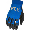 FLY RACING rukavice EVOLUTION DST blue/black - 3XL