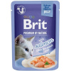 Brit Premium Cat Delicate Fillets in Jelly Salmon 85 g