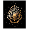 WARNER BROS. Deka Harry Potter - Rokfort - čierna