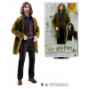 Bábika Harry Potter A Tajomná Komnata Sirius Black (194735011056)