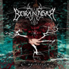 Borknagar - Empiricism [CD]