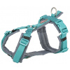 Premium trekingový postroj, XL: 80-97 cm/25 mm, aqua/grafit