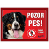 Juko Plastová tabuľa Pozor Pes Bernský Salašnícky 21 x 14,7 cm