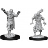 D&D Nolzur's Marvelous Miniatures: Scarecrow & StoneCursed