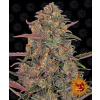 Pineapple Chunk - Barney´s Farm Balenie: 5ks