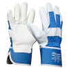 Gebol Pracovné rukavice Premium Blue thermo č.10
