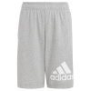 Shorts adidas Essentials Big Logo Cotton Shorts Jr HY4720 (126871) GREEN 152 cm