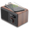 Rádio Carneo W100 DAB/FM