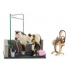 SCHLEICH 42104 Umývanie koní. Exclusive kôň (SCHLEICH 42104 Umývanie koní. Exclusive kôň)