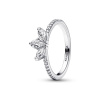 PANDORA prsten Třpytivý herbářový shluk 52 192392C01-52