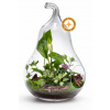 COOL Design Otvorené rastlinné terárium FOREST PEAR Violet 37 cm – sklenená kompozícia v tvare hrušky s lopatkovcom, fitóniou a brečtanom | Otvorené terárium do bytu s fialovým akcentom