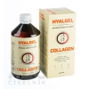 HYALGEL COLLAGEN tekutý prípravok s pomarančovou príchuťou 1x500 ml