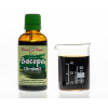 Bakopa (Bacopa - Bráhmí) - bylinné kapky (tinktura) 50 ml - doplněk stravy