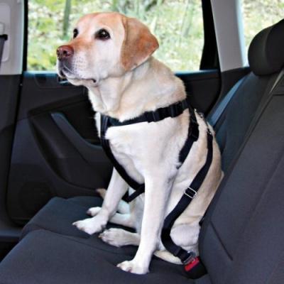 Bezpečnostný postroj do auta pre psa XS Trixie Safety