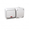 ZÁS. 2P+PE + SPÍN (1So) IP44 CEDAR BIELY