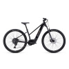 CTM ROXXY GX PRO 2025