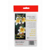 Armor fotopapier Exclusive 260g, glossy 10x15 (M10550)