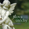 Various - Slova útěchy [CD]