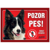 Juko Plastová tabuľa Pozor Pes Border Kólia 21 x 14,7 cm