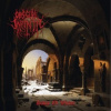 Obscure Infinity - Dawn Of Winter [CD]