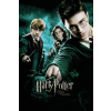 Plagát, Obraz - Harry Potter and The order of the Phoenix, 26.7 × 40 cm