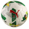 Puma Orbita 1 Carabao Cup Football White/Green Size 5
