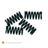 BARNE SPRINGS CLUTCH