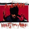 Redman - Whut? Thee Album / Reedice / Vinyl [LP]