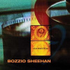 LP Terry Bozzio: Nine Short Films CLR